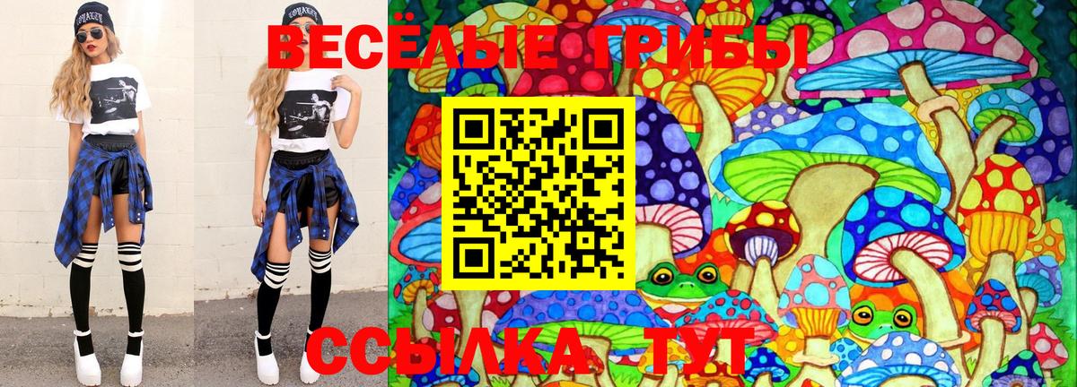 Красноперекопск  Псилоцибиновые грибы Magic Shrooms  Псилоцибиновые грибы прущие грибы  купить закладку  Вход с VPN 